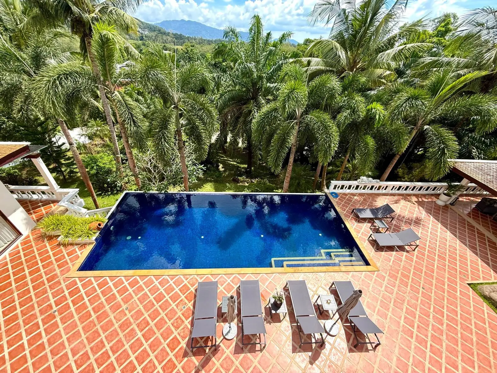 Pool deck with sun loungers and tropical garden surround