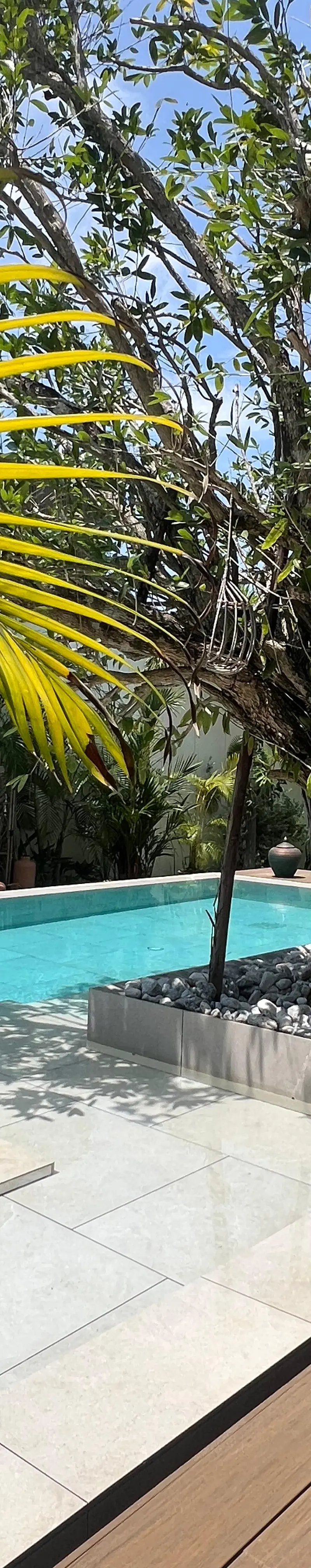 Pool from the lawn — sculptural tree planter, terracotta accents