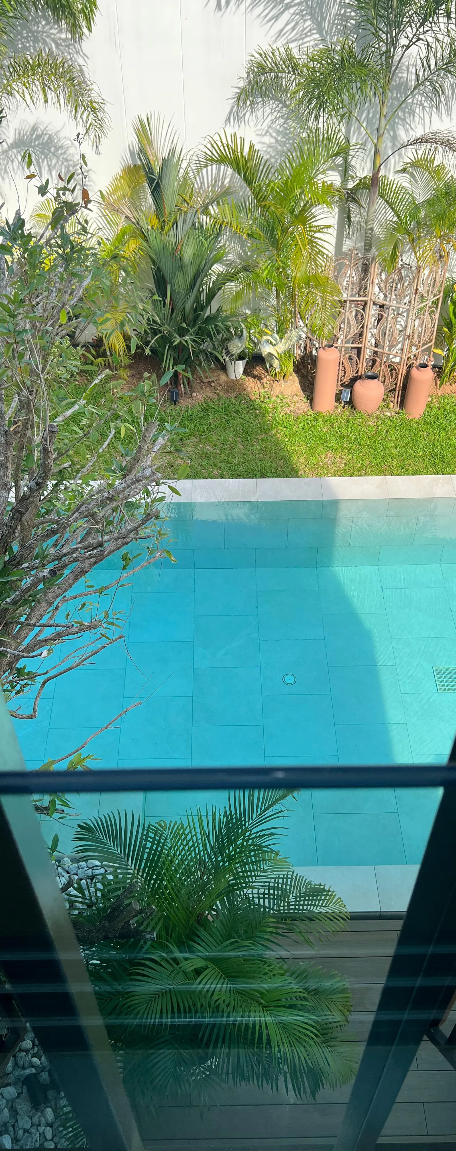 Pool view from inside, with palms and terracotta planters