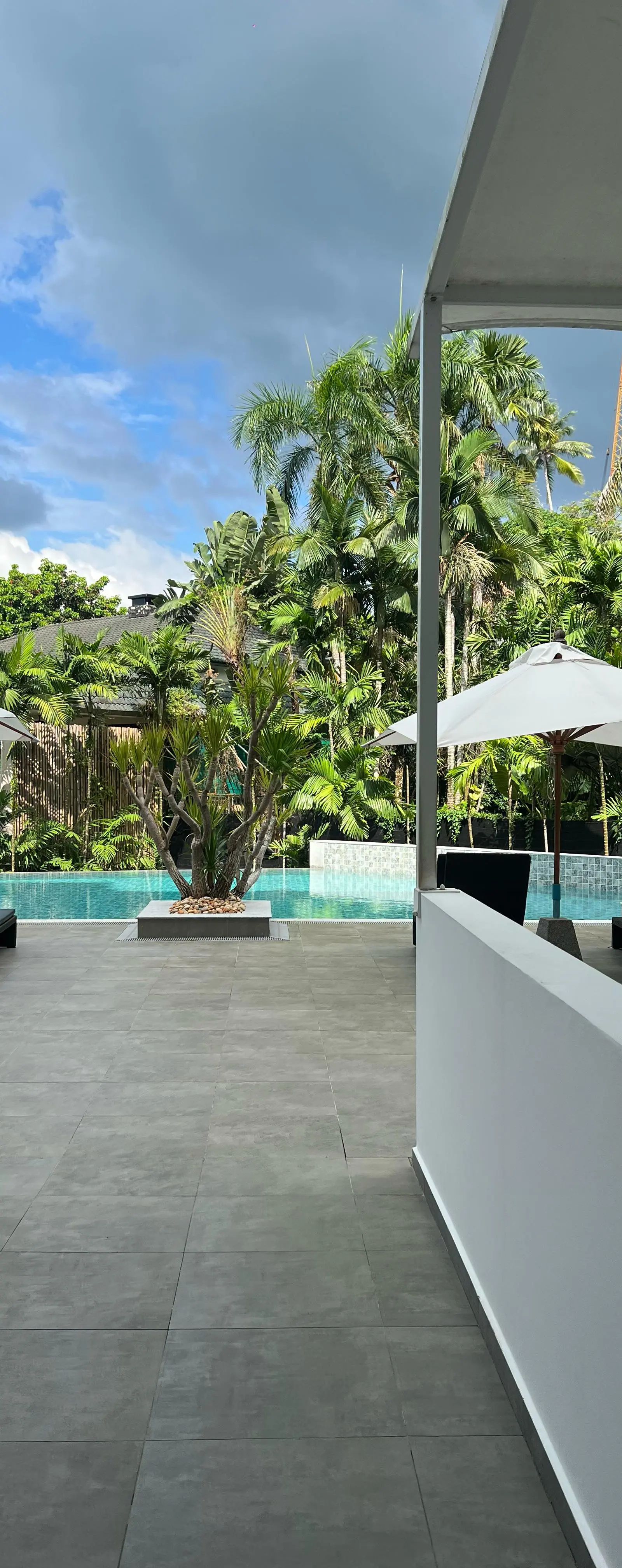 Pool deck with palms and lounge umbrellas