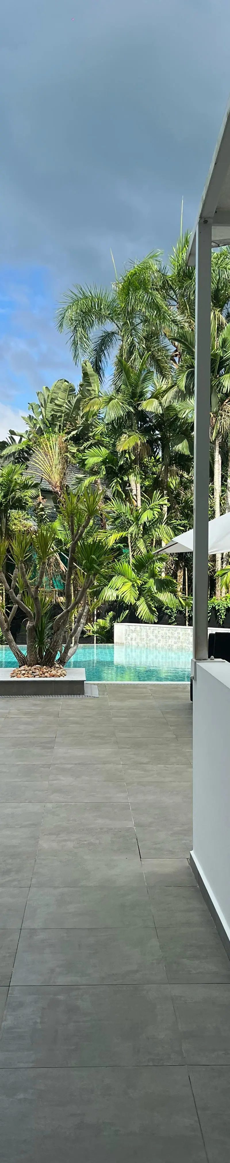 Pool deck with palms and lounge umbrellas