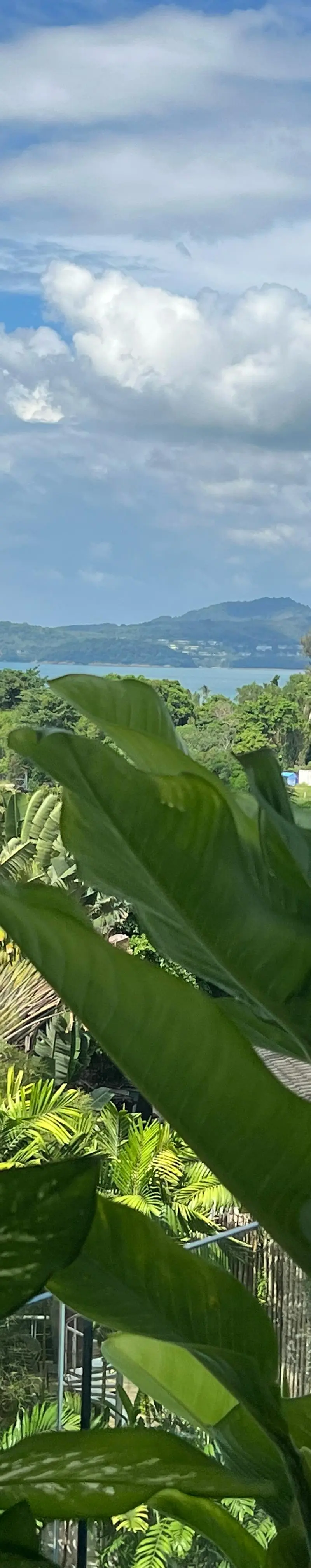 Sea view to the Andaman from the west-facing balcony, framed by palm canopy