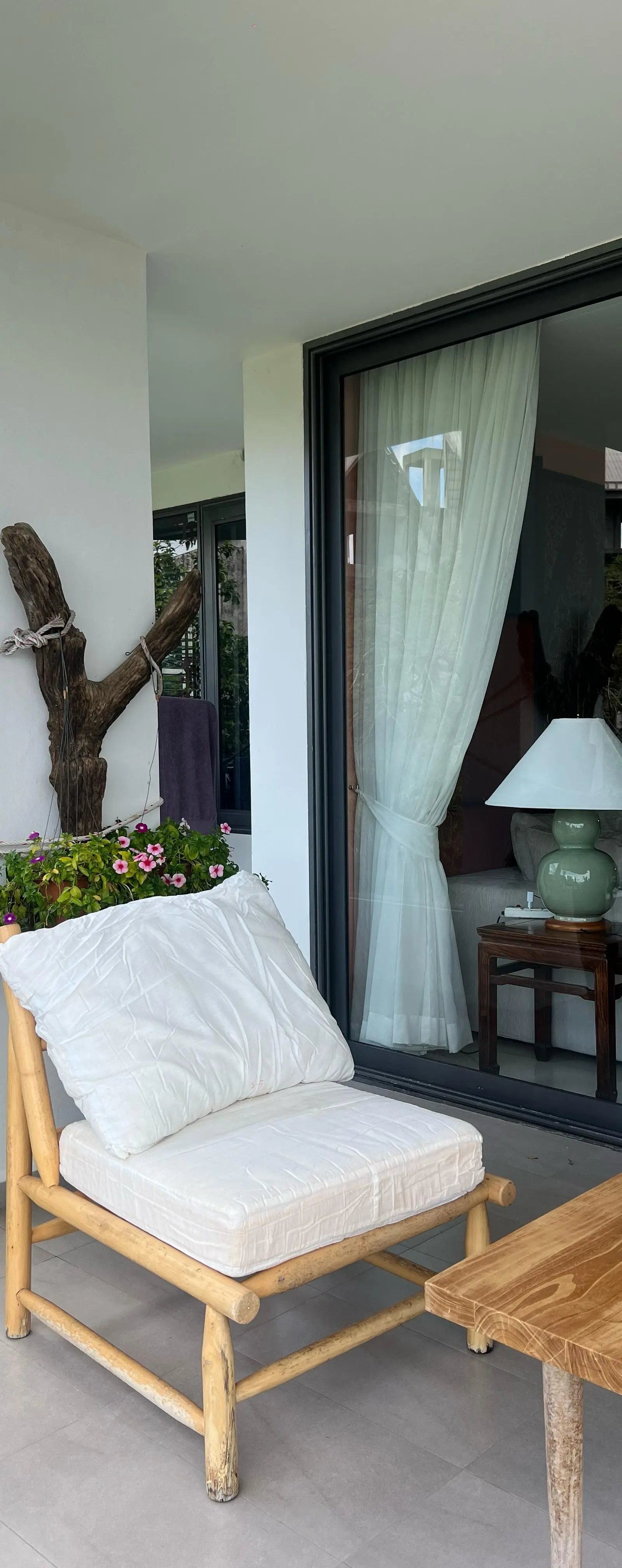 Balcony detail with elephant ear plant and view to pool