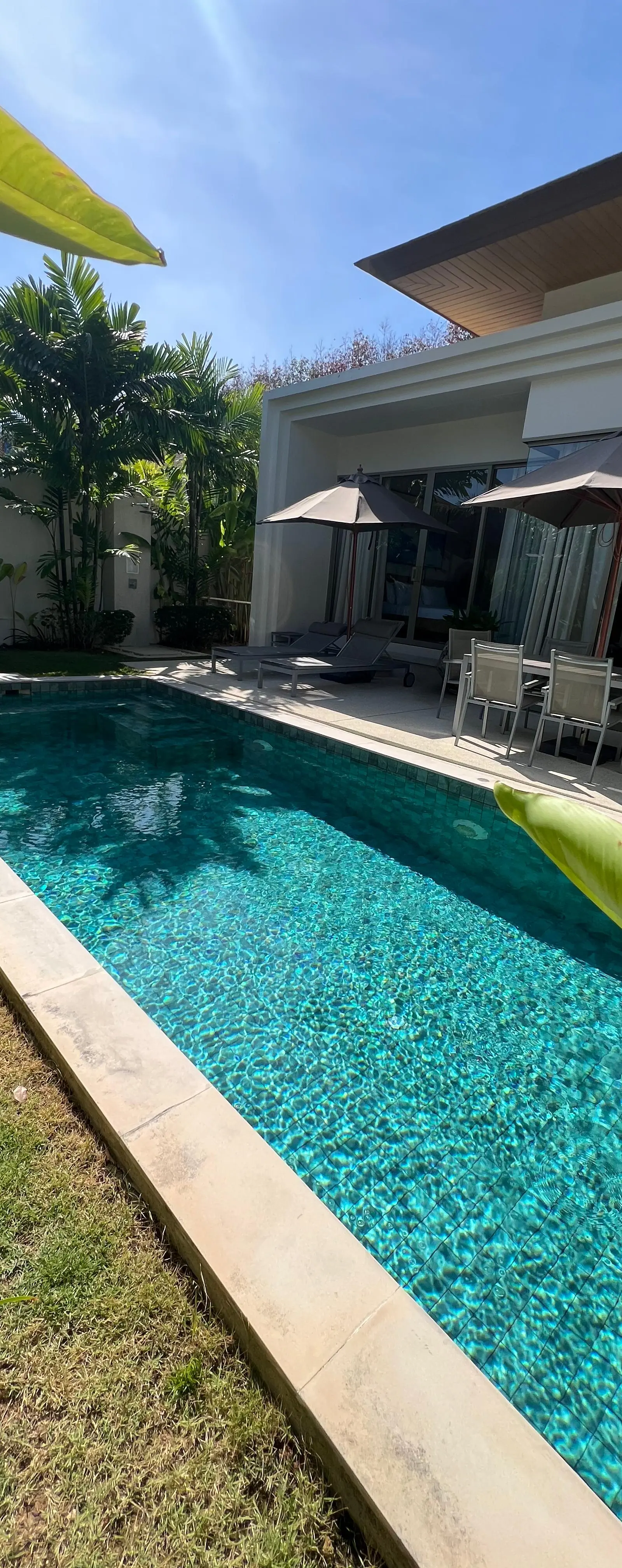 Pool from the garden side with banana plants and umbrellas