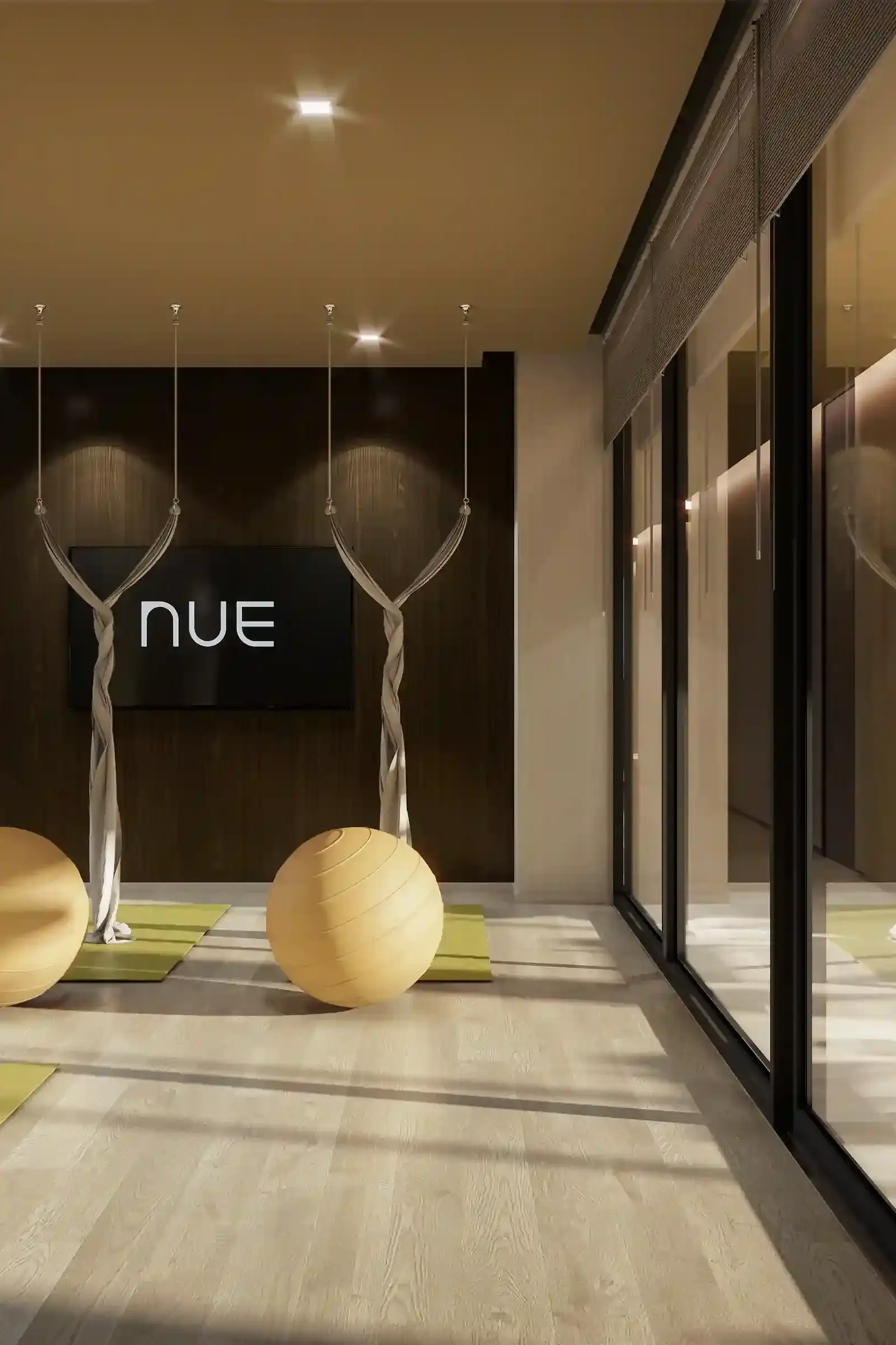 Nue Evo Ari