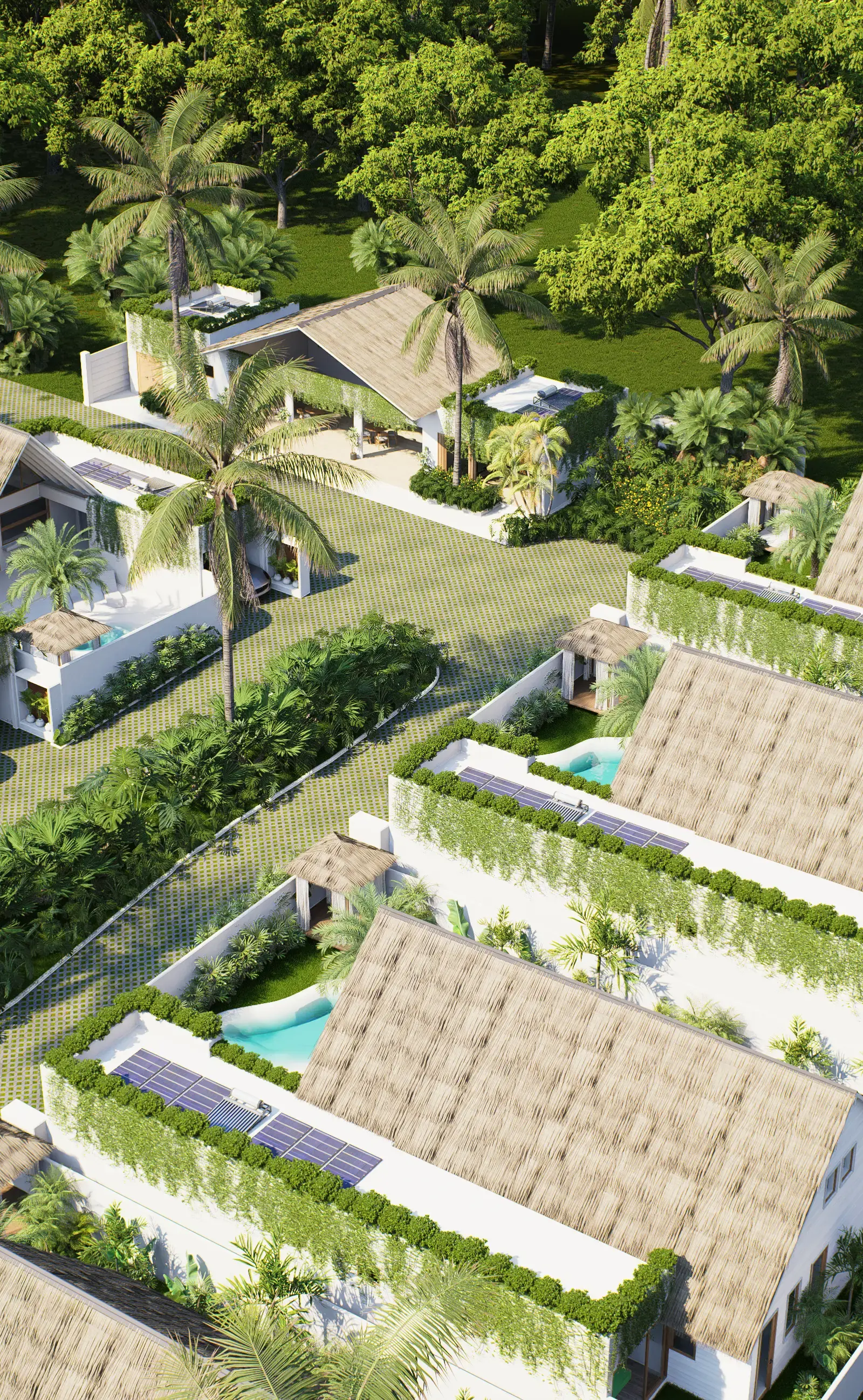 Era Tropical Residence