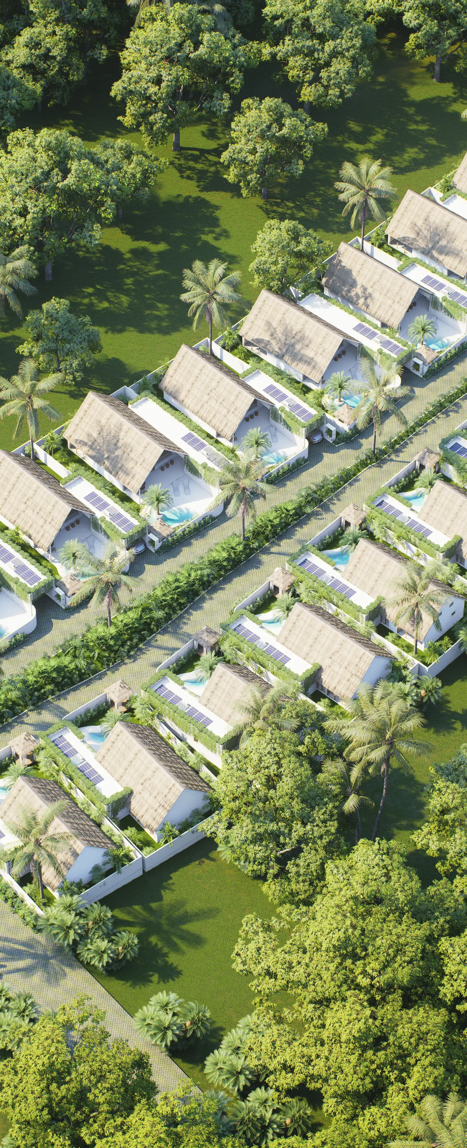 Era Tropical Residence